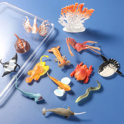 Ocean Wonders Mini Set