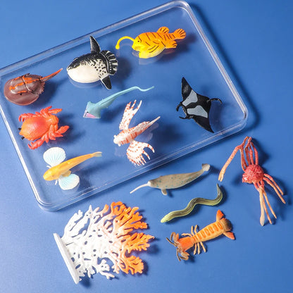 Ocean Wonders Mini Set